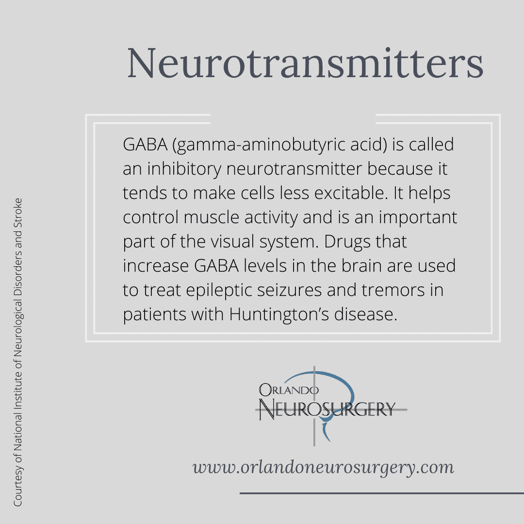 Key Roles of Neurotransmitters - GABA