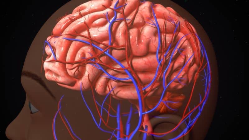 Deconstructing Cerebral Aneurysms: To Treat or Not to Treat